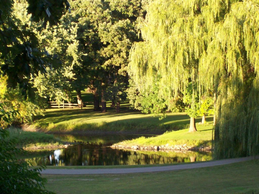The Lodge Resort Hotel Forest City Eksteriør billede